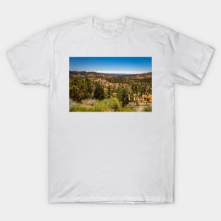 Utah State Route 12 Scenic Drive T-Shirt